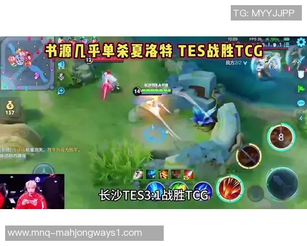 王者荣耀个人能力排行榜揭晓TES战队荣登第五名引发热议